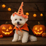 Small white dog dressed in orange and black Halloween wizard hat and cape with glowing jack-o'-lanterns in background
